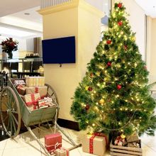 Radisson Blu Sydney Christmas 2018