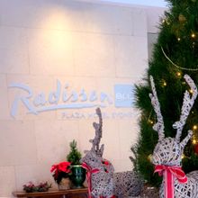 Radisson Blu Sydney Christmas 2018