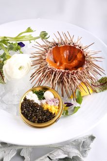 Sea Urchin and NUO Caviar 海胆鱼子酱