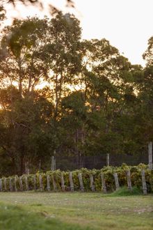 Xanadu Winery in Margaret River