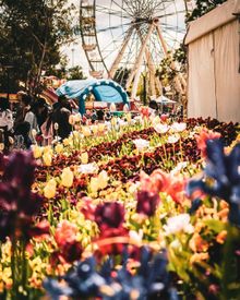 kyliemoore.photography sneaks in a peak of Floriade 2018