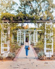 staceybowie_ poses beneath the wisteria at Old Parliament House