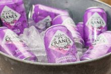 Cranes Cider Cans 