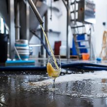 Brewery Tours (£10 pp) & Brew Days (£80pp)
