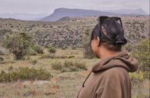 Mountain Zebra National Park 