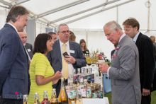 Curio Spirits Westminster Visit Food and Drink in Cornwall 