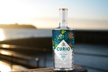 Curio Wild Coast Gin Mullion 