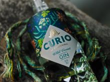Curio Wild Coast New Bottle 