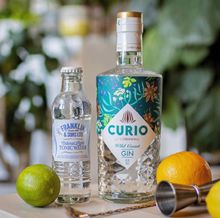 Curio Wild Coast Gin and Franklin and Son Tonic