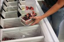 Shearer's Fine Foods / field fare's BYO Tub initiative