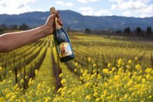 Breathless Wines