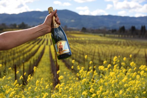 Breathless Wines Breathless Wines