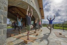 Yoga at Bricoleur Vineyards