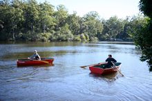 Exploring Lake Parramatta in a rowboat