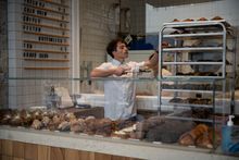 James Sideris at Rollers Bakehouse, Manly