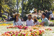 Toowoomba Carnival of Flowers