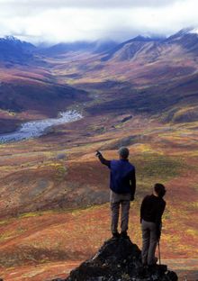 Tombstone Mountains, autumn colours