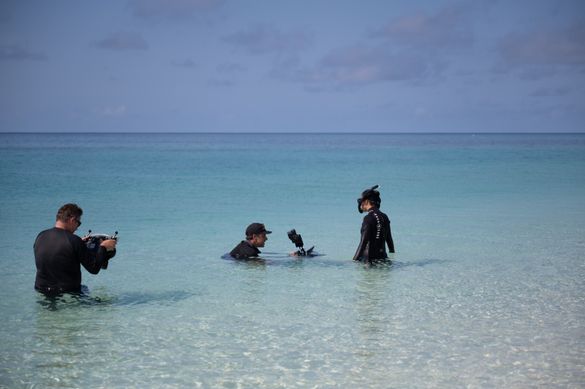 Beyond the Reef (Behind the Scenes) Beyond the Reef (Behind the Scenes)