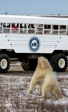 Frontiers North Tundra Buggy, Churchill, Manitoba, Canada