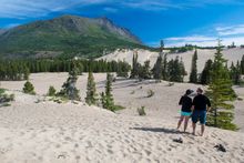 Carcross Desert, Yukon, Canada