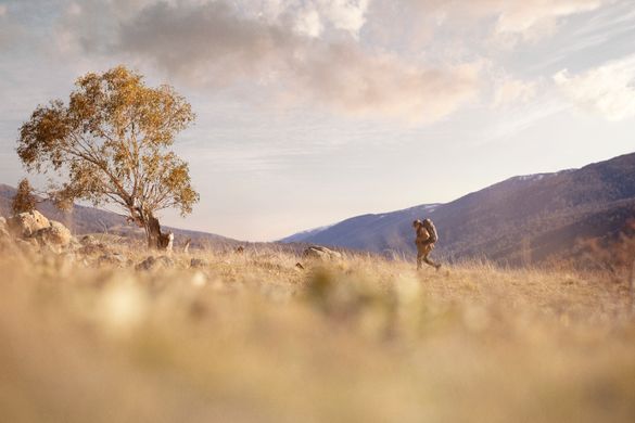 Hiking in Jindabyne, Snowy Mountains
