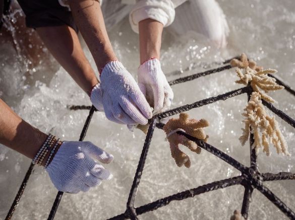 Banyan Tree Group - Sustainability Report