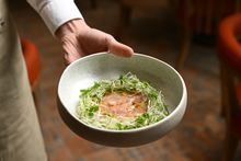 North & Common: An ever-evolving dining experience, elevated by a thoughtfully curated wine list. 