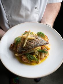Gilt Head Bream