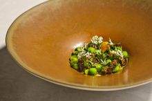 Morel mushroom custard, asparagus, spring peas, ramson