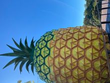 The Big Pineapple