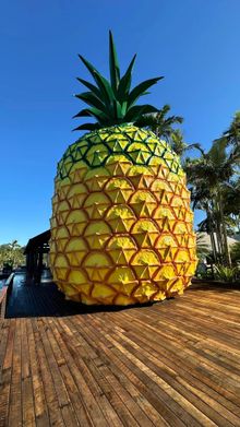 The Big Pineapple