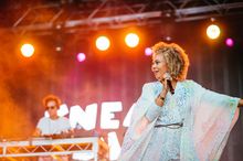 Sneaky Sound System