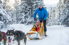 Dog sledding 