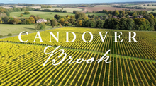 Candover Brook - A Year in the Life of a Vineyard