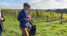 Mark Sainsbury in the Candover Brook vineyard