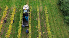Harvest at Candover Brook