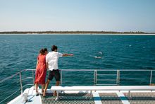 Moonshadow Cruises, Port Stephens