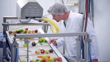Charles Fermor Freddie's Farm inspecting whole fruit and veg