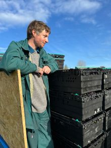 Harvest time at Candover Brook