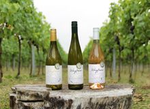 Award winning wines from Wayfarer