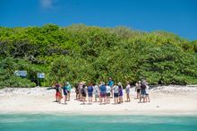 Lady Musgrave Experience Island Tour Group