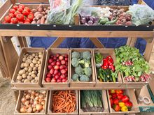 Hampshire Market Garden Veg Shed