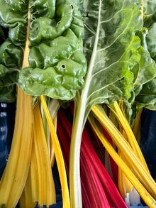 Hampshire Market Garden, Raonbow Chard