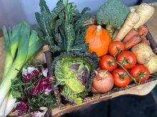 Hampshire Market Garden Veg Basket