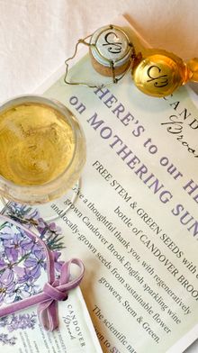 Candover Brook & Stem & Green