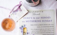 Candover Brook & Stem & Green 