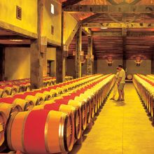Over 40 Local Hawkes Bay Wineries