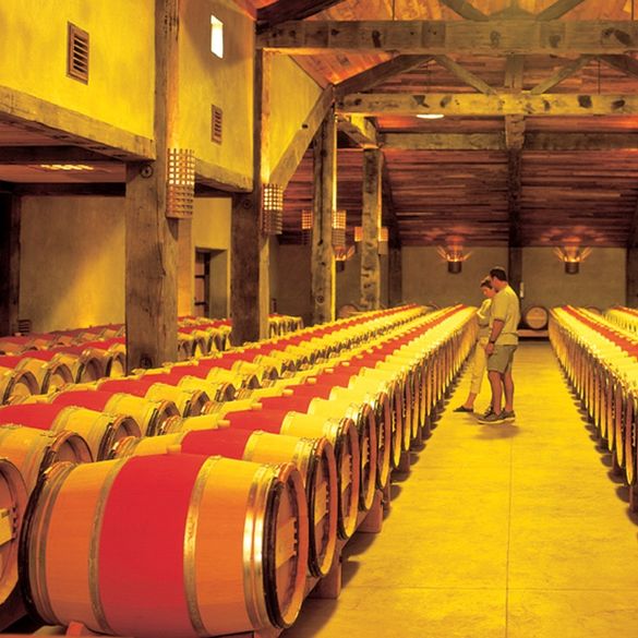 Over 40 Local Hawkes Bay Wineries