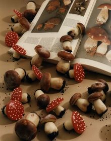 Funghi
