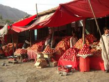 Philanthropy For New Pretox Pomegranate Drink